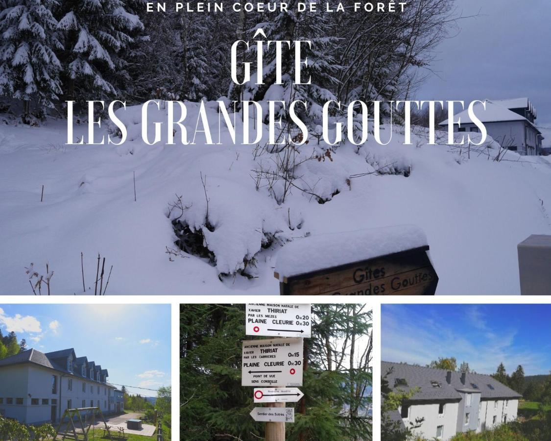 Gites Les Grandes Gouttes Le Syndicat Eksteriør bilde